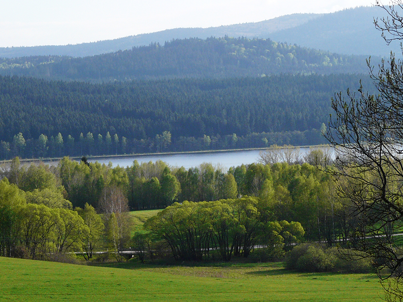 Uitzicht vanuit de mooie vakantievilla, te koop bij Lipno in Tsjechie.